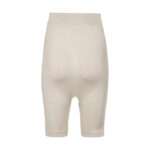 گن شکمی پادار