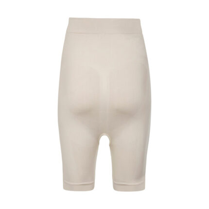 گن شکمی پادار